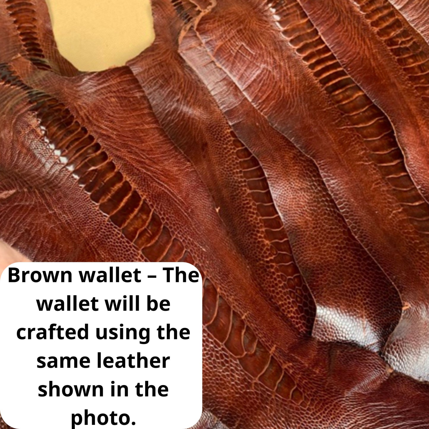 Ostrich Leg Leather Card Holder: Handmade Slim Wallet,Ostrich Leather Card Holder,Slim Minimalist Wallet